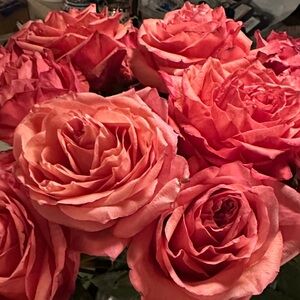 Giveaway $20 Shopping Credit + FREE SHIPPING DURING SHOW or mystery gift 🎁